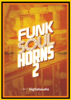 Funk Soul Horns 2 product image