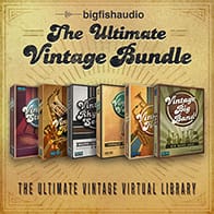 Ultimate Vintage Bundle, The  Instrument