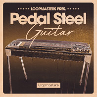 Pedal Steel Guitar product image
