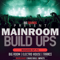 Mainroom Build Ups product image