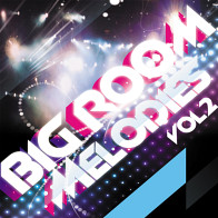 Big Room Melodies Vol 2 product image