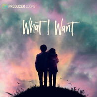 What I Want Pop Rock Loops