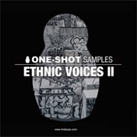 Ethnic Voices 2 product image