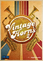 Vintage Horns 2 Horns Instrument